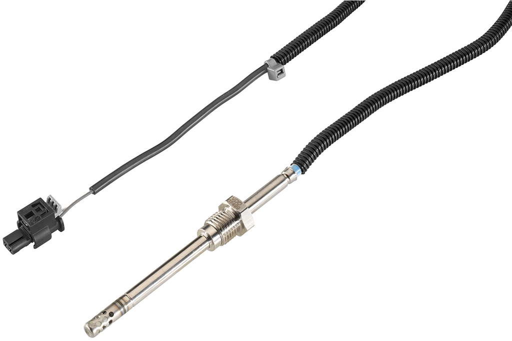 Palpeur de température des gaz