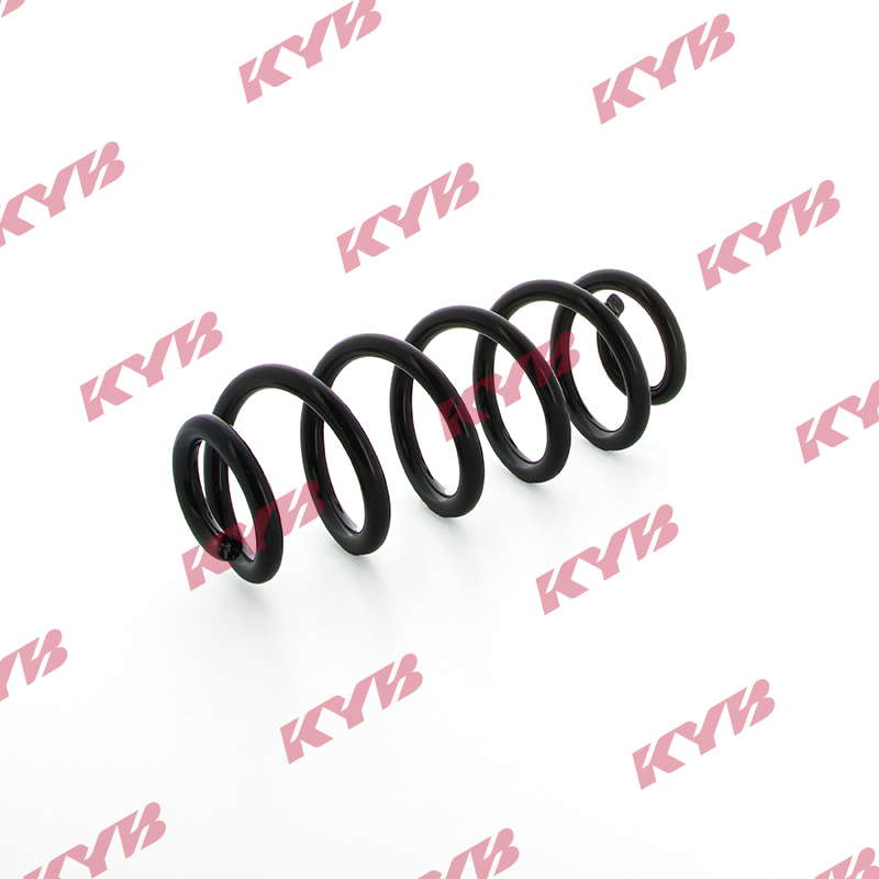 kyb_ra5461-0002