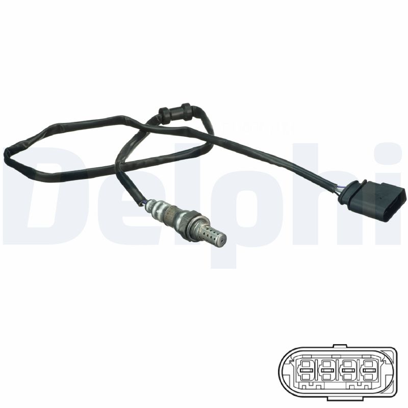 SONDE A OXYGENE