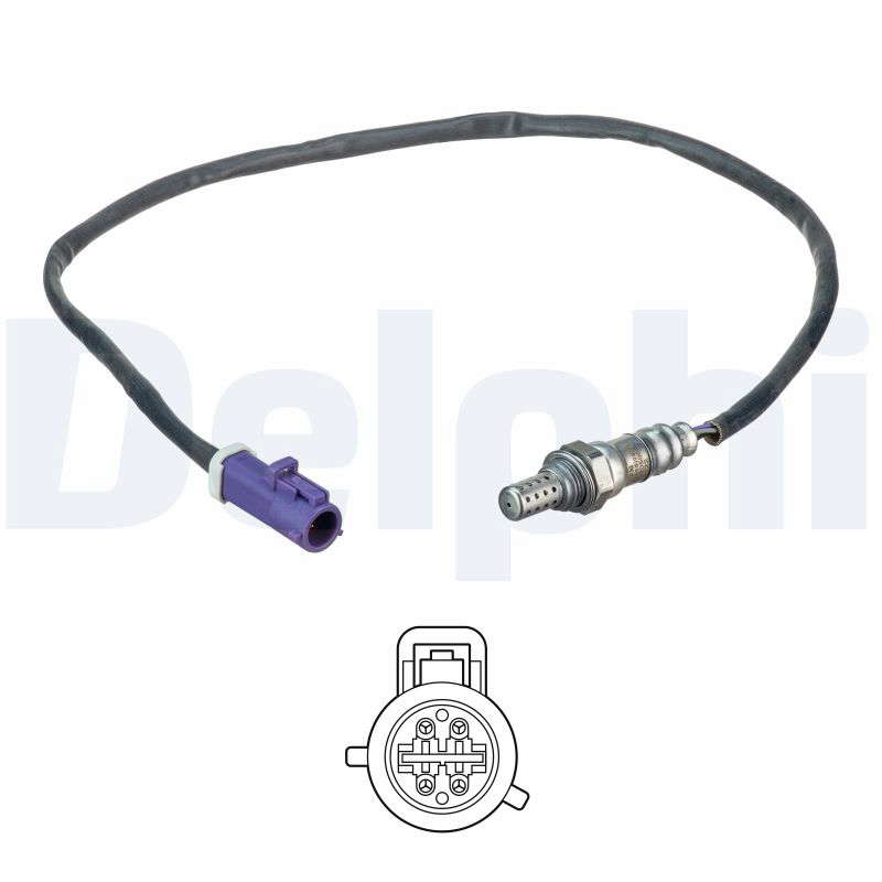 SONDE A OXYGENE