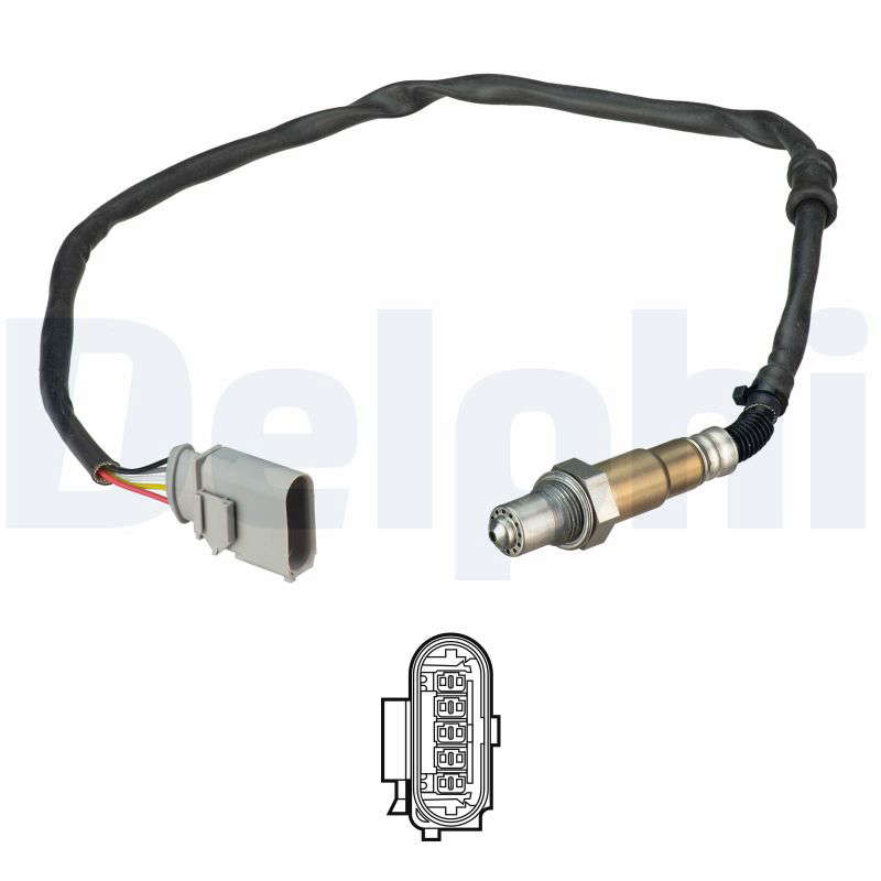 SONDE A OXYGENE