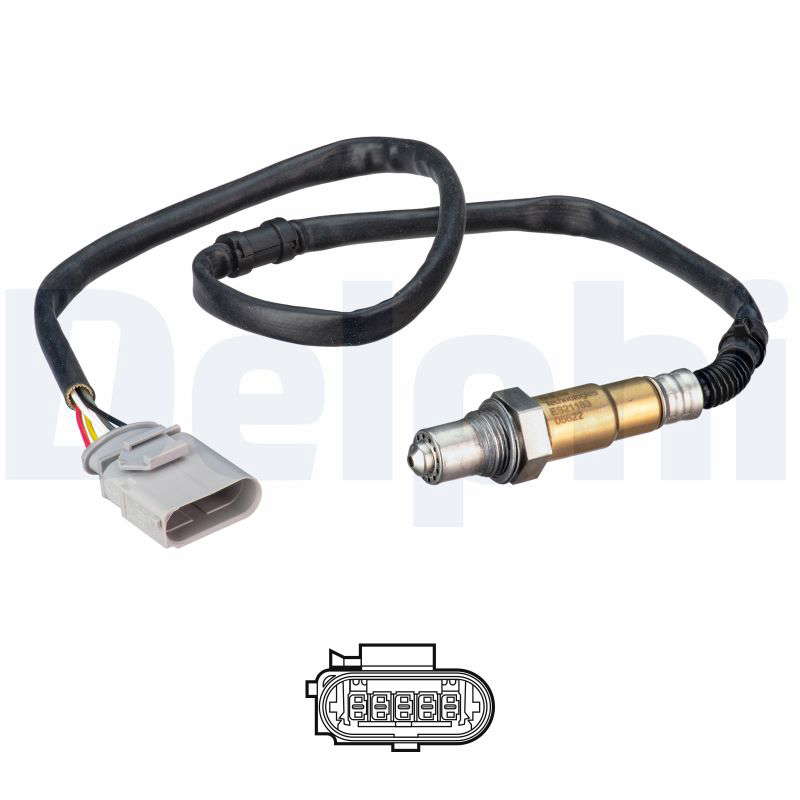 SONDE A OXYGENE