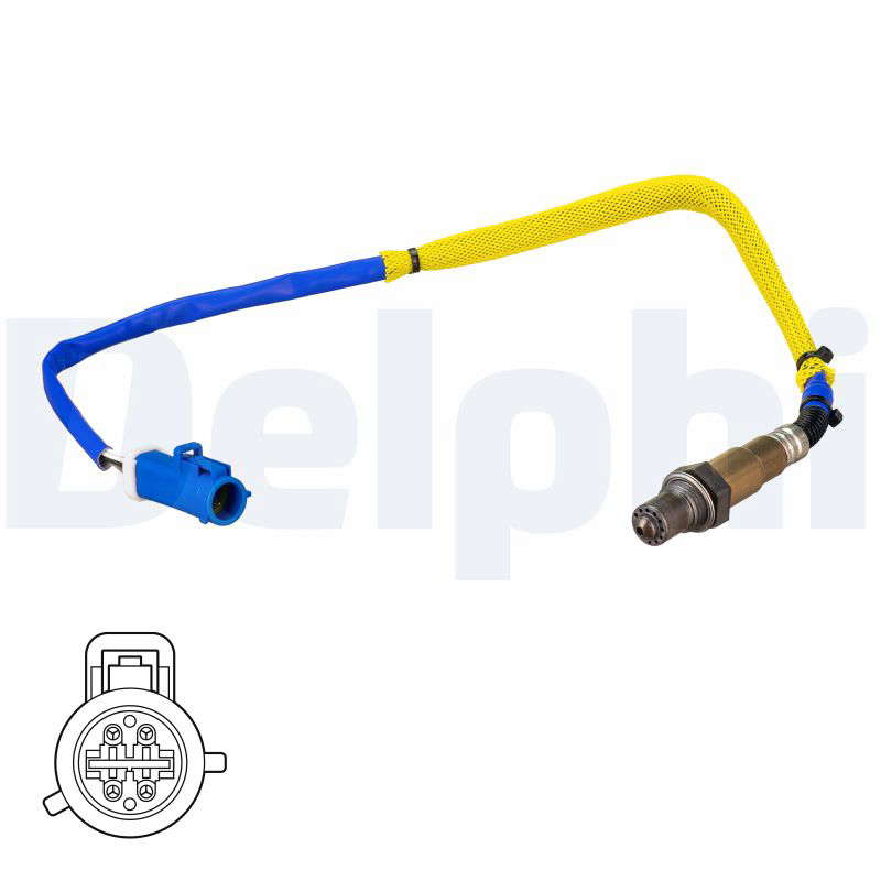 SONDE A OXYGENE