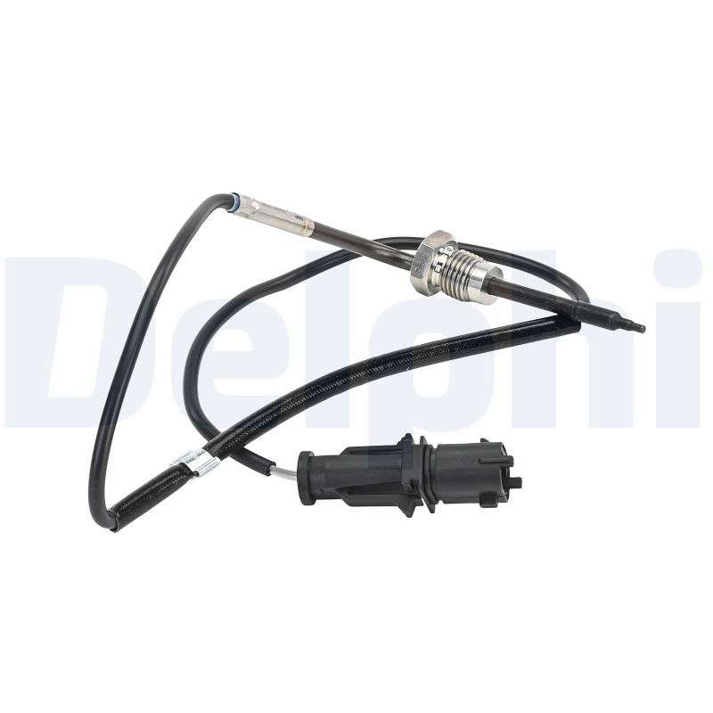 Palpeur de température des gaz