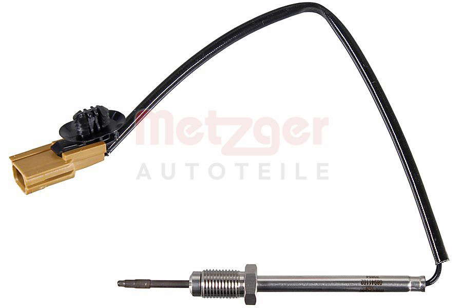 Palpeur de température des gaz