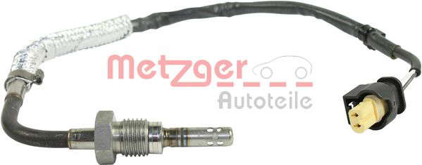 Palpeur de température des gaz