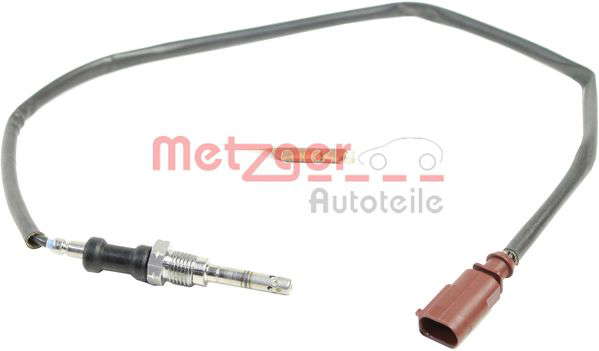Palpeur de température des gaz