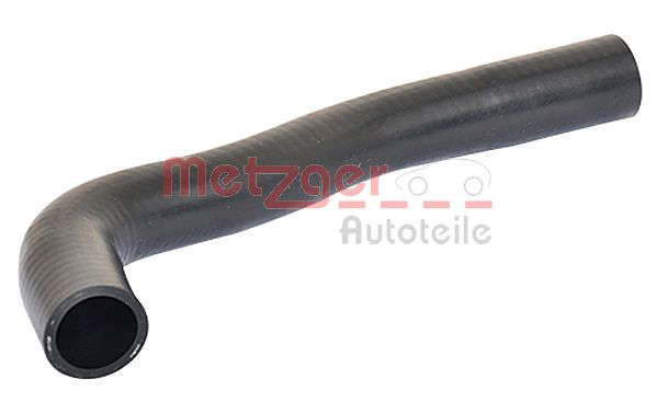 Durite radiateur