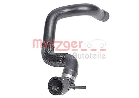 Durite radiateur