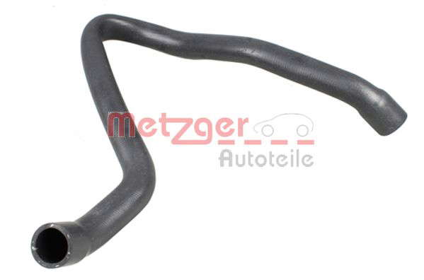 Durite radiateur