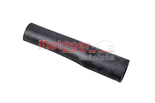 Durite radiateur