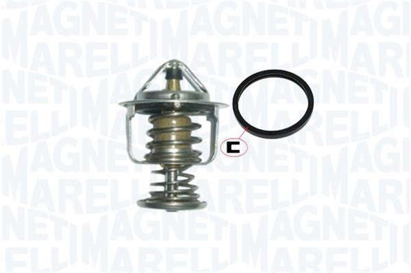 Thermostat d'eau