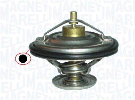 Thermostat d'eau