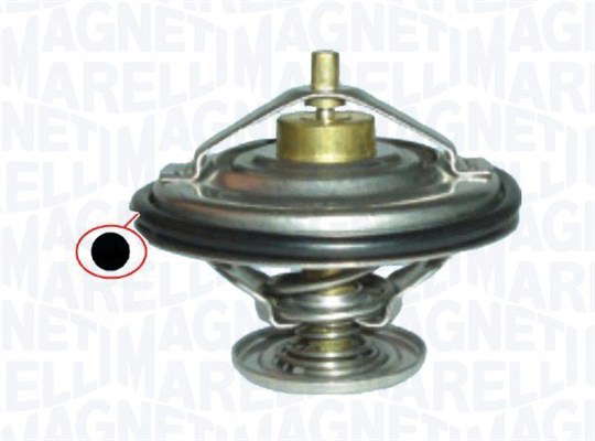 Thermostat d'eau