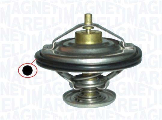 Thermostat d'eau