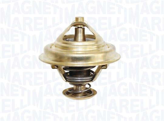 Thermostat d'eau