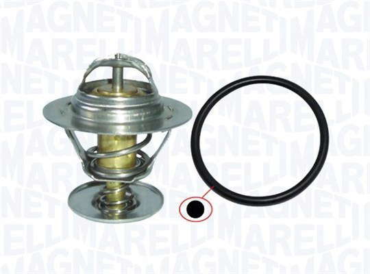 Thermostat d'eau