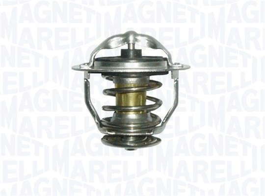 Thermostat d'eau