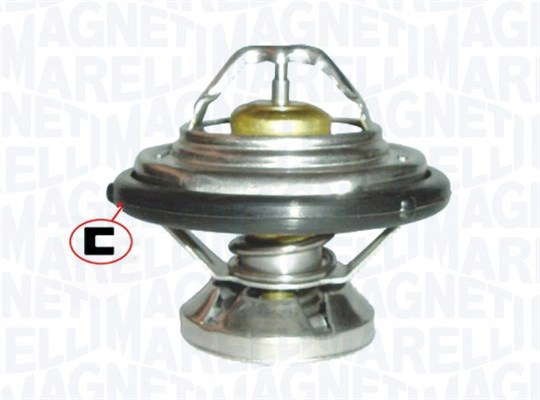 Thermostat d'eau