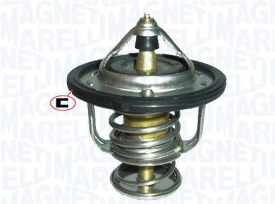 Thermostat d'eau