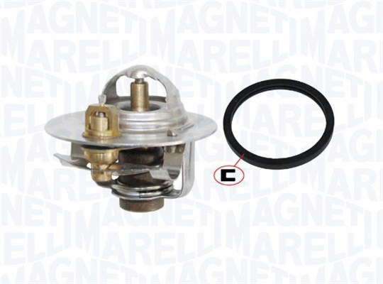 Thermostat d'eau