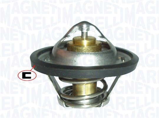 Thermostat d'eau