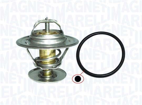 Thermostat d'eau