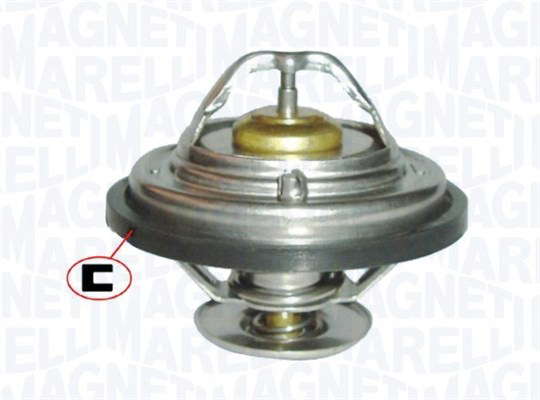 Thermostat d'eau