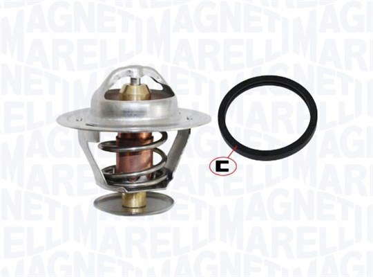 Thermostat d'eau
