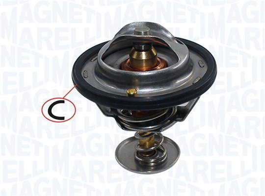 Thermostat d'eau
